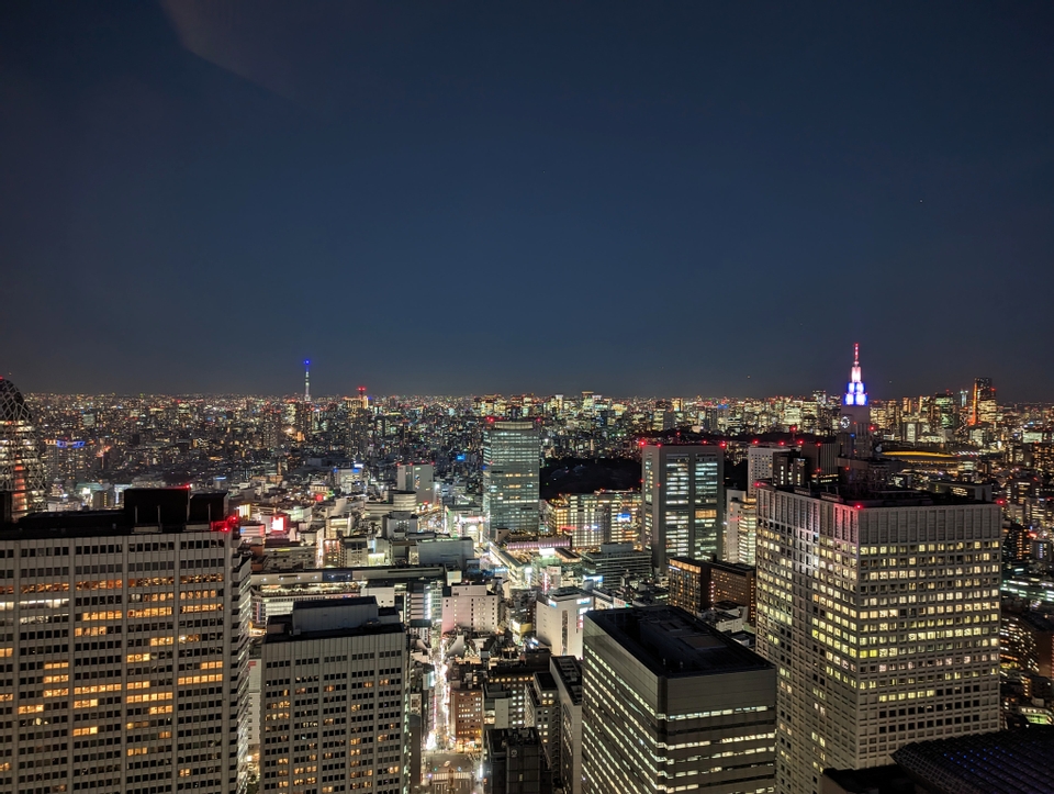 view from the Tokyo Metropolitan Government Building